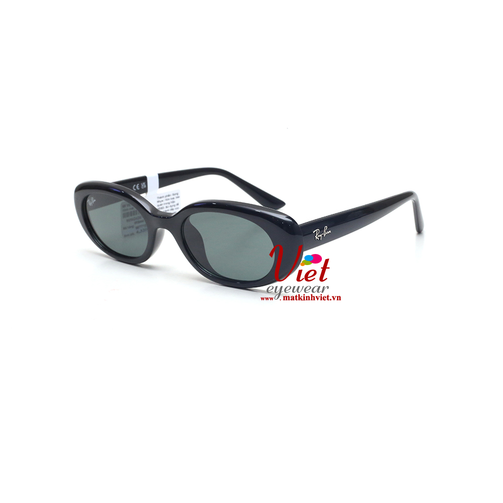 Kính mát RayBan RB4441D 6677/71